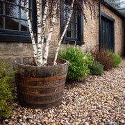 90cm Giant Rustic Whisky Half Barrel Oak Tree Planter